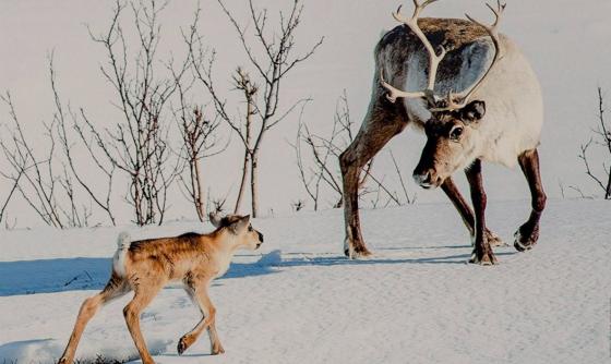 Scéna z filmu Putovanie so sobíkom