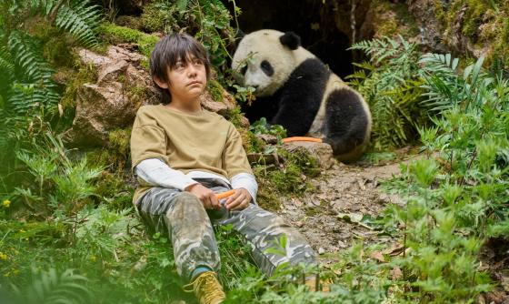 Scéna z filmu Panda a ja