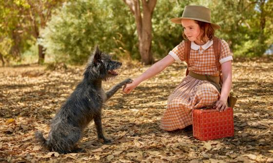 Scéna z filmu Malý veľký pes