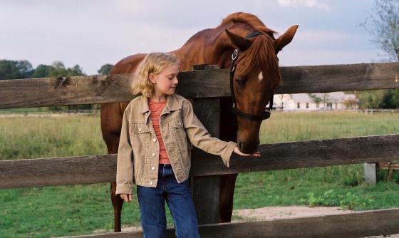 Scéna z filmu Rojko